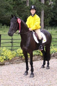 Alex Gill qualifies for HOYS Alex Gill qualifies for HOYS